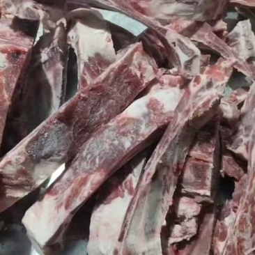 加肉羊方肩