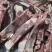 加肉羊方肩