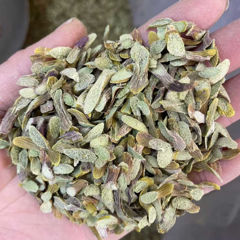 石斛切片厂家直供对接各大平台电联详谈价格