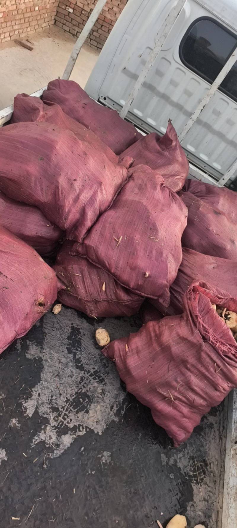 小藕头超市每天鲜货加工厂货摆地摊货