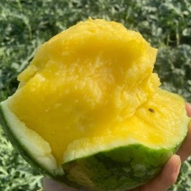 【实力推荐】沭阳精品特小凤西瓜，黄瓤西瓜，水分足