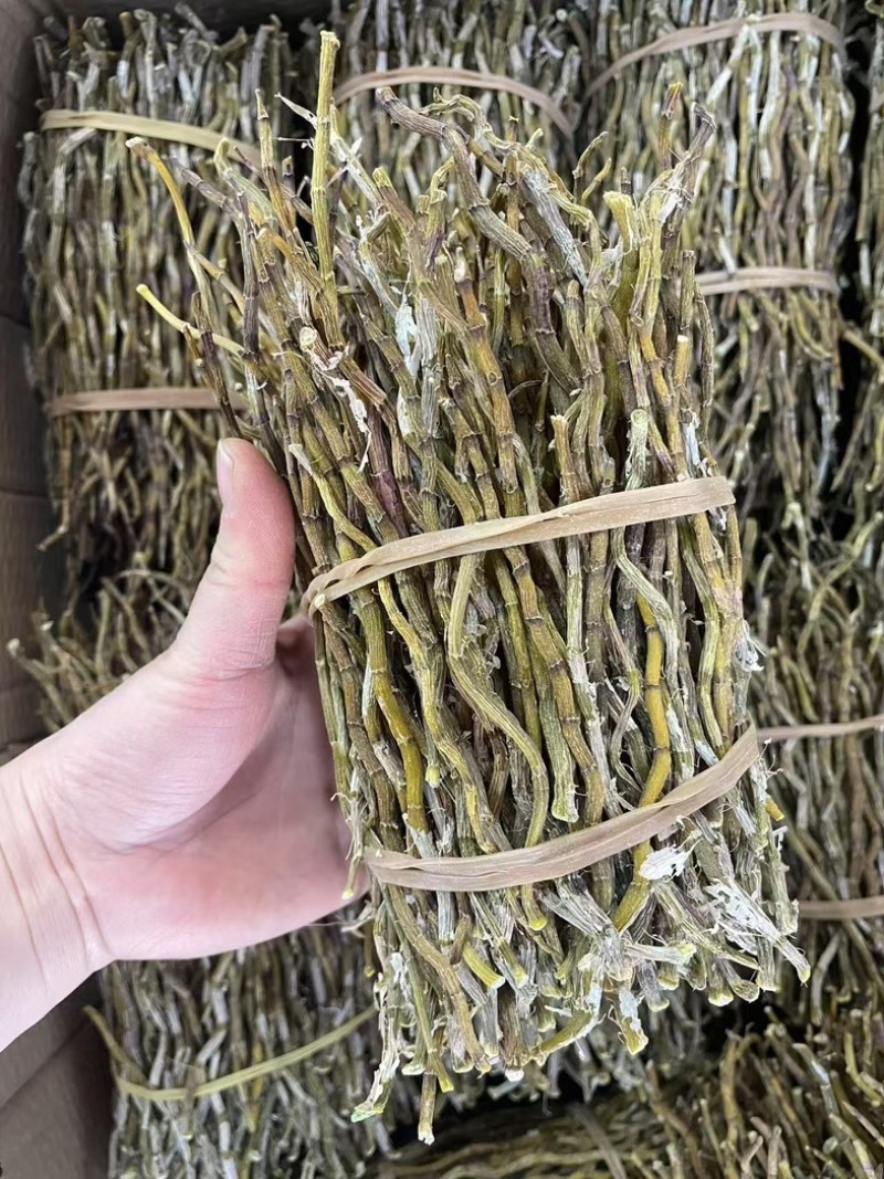 铁皮石斛鲜条种类多品种全要货的老板电联