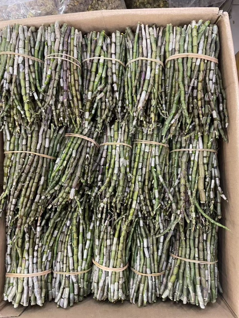 铁皮石斛鲜条种类多品种全要货的老板电联