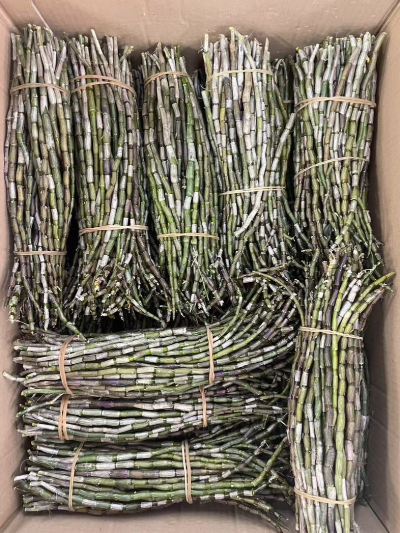 铁皮石斛鲜条种类多品种全要货的老板电联