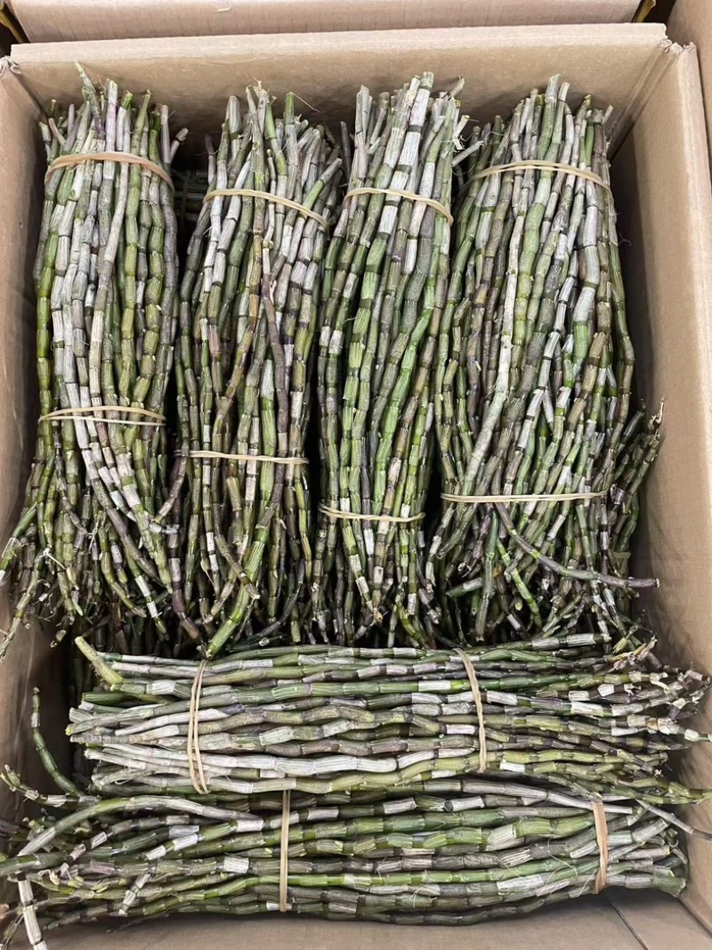铁皮石斛鲜条种类多品种全要货的老板电联