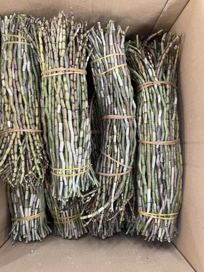 铁皮石斛鲜条种类多品种全要货的老板电联