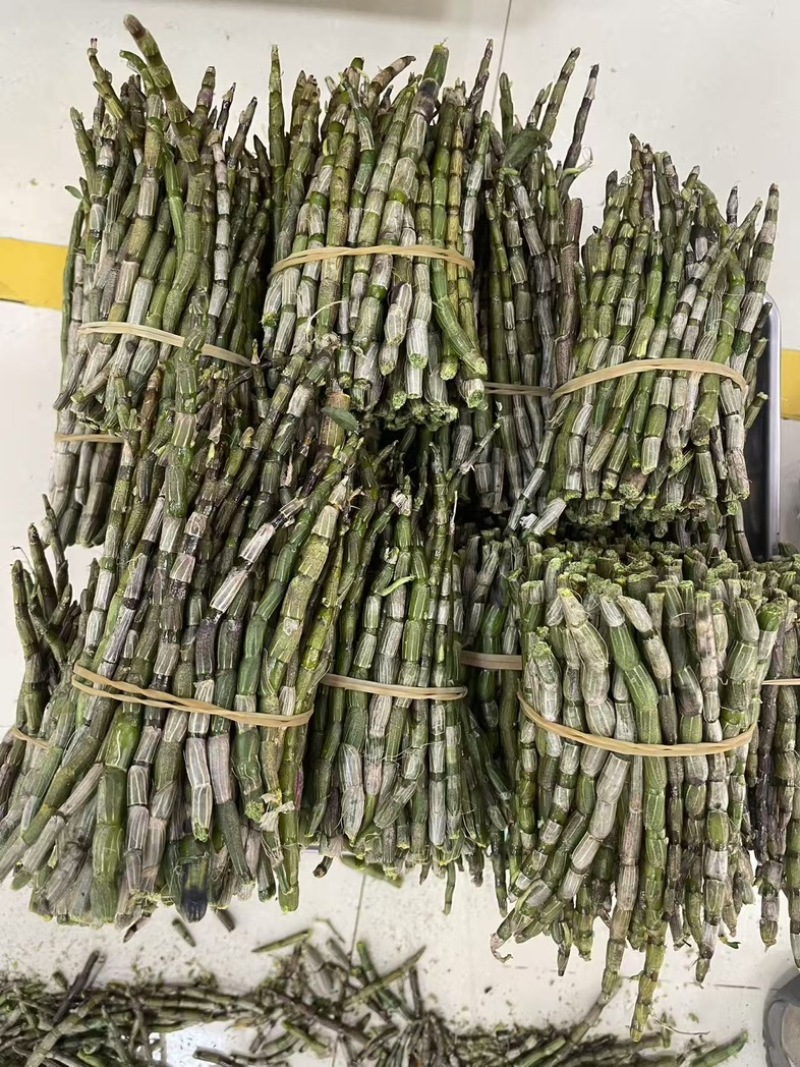 铁皮石斛鲜条种类多品种全要货的老板电联