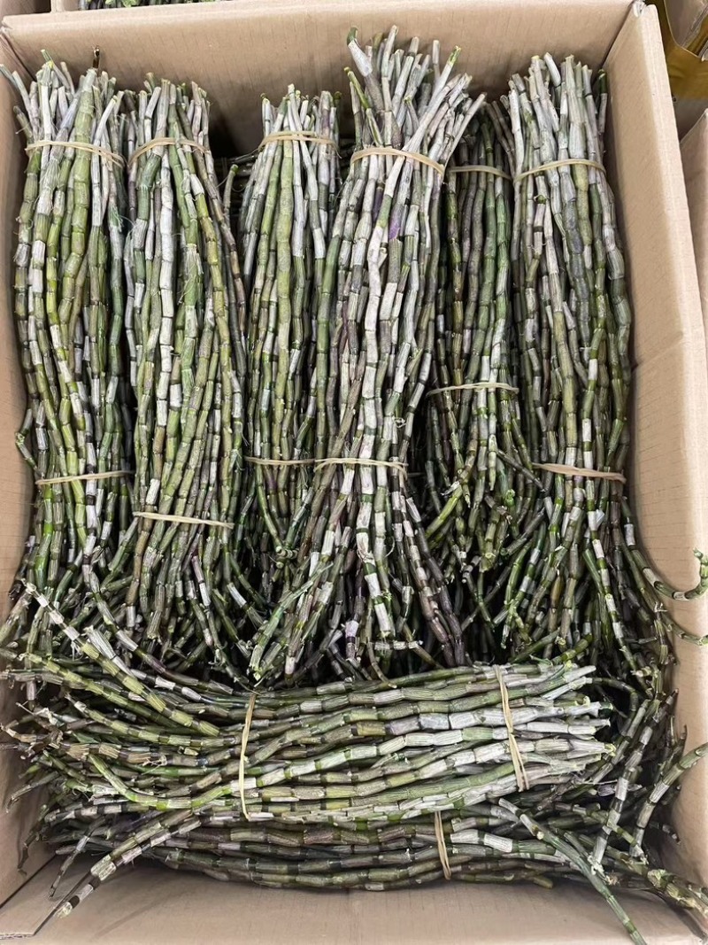 铁皮石斛鲜条种类多品种全要货的老板电联