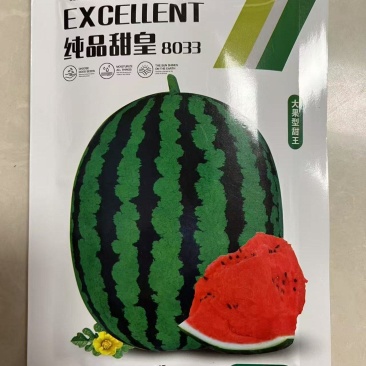 纯品甜皇大果型甜王西瓜种子