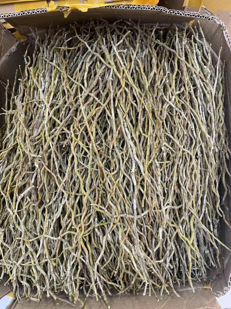精选铁皮石斛干条粗500克种类多鲜货干货都有