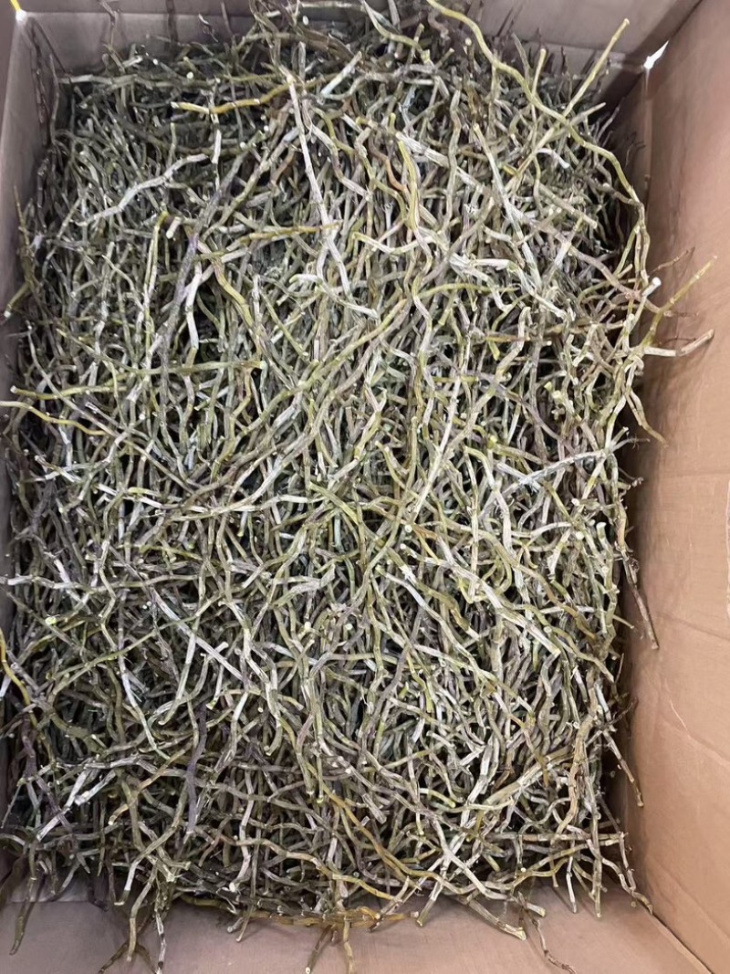精选铁皮石斛干条粗500克种类多鲜货干货都有