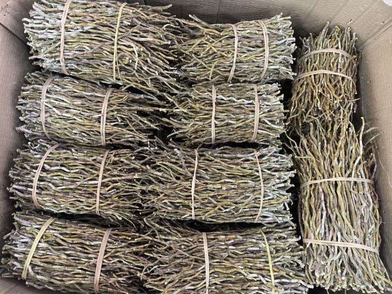 精选铁皮石斛干条粗500克种类多鲜货干货都有