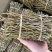 精选铁皮石斛干条粗500克种类多鲜货干货都有