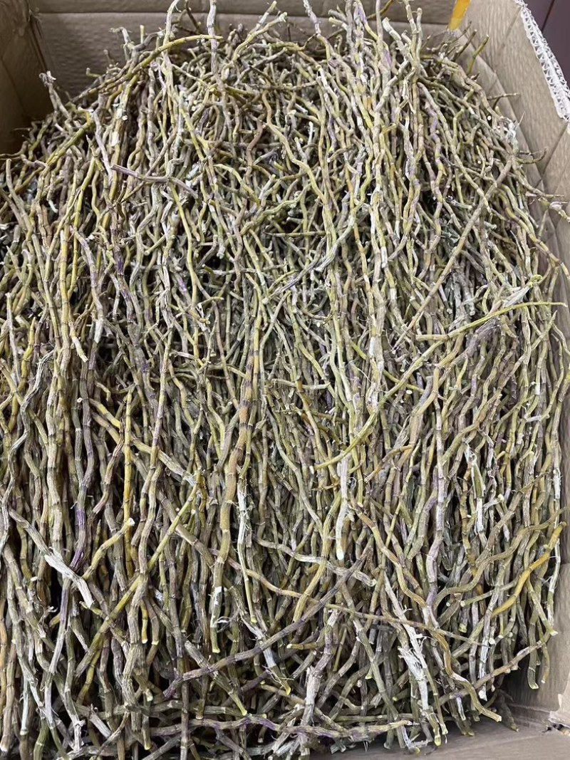 精选铁皮石斛干条粗500克种类多鲜货干货都有