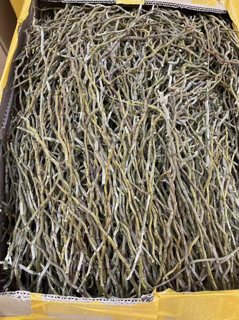 精选铁皮石斛干条粗500克种类多鲜货干货都有