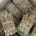 精选铁皮石斛干条粗500克种类多鲜货干货都有