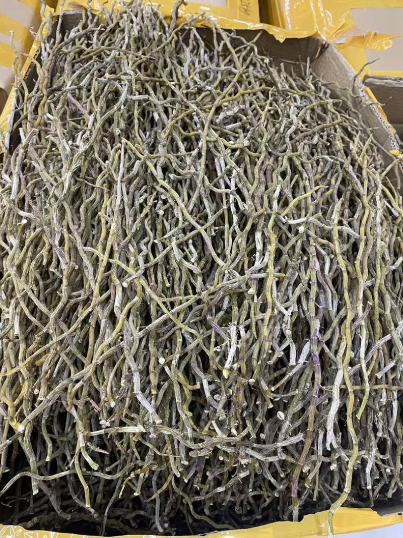 精选铁皮石斛干条粗500克种类多鲜货干货都有