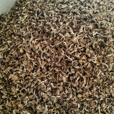 【精选】干平菇蘑菇干，浅灰色包邮，自有工厂，市场食堂等