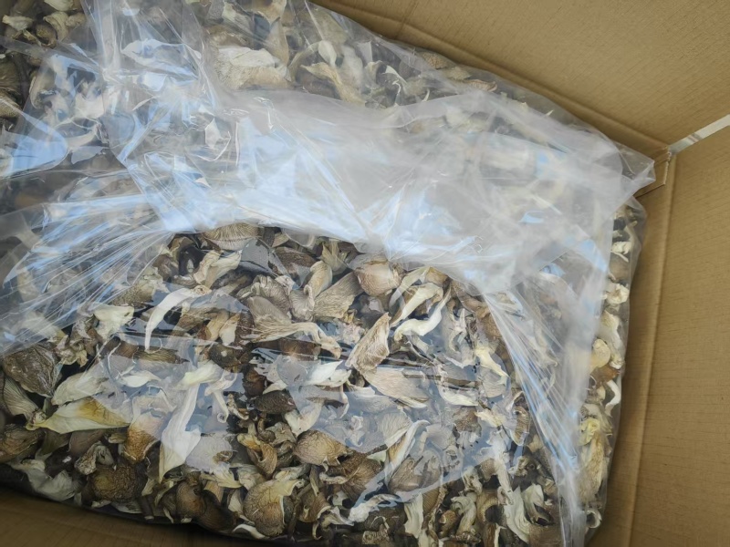 【精选】干平菇蘑菇干，浅灰色包邮，自有工厂，市场食堂等