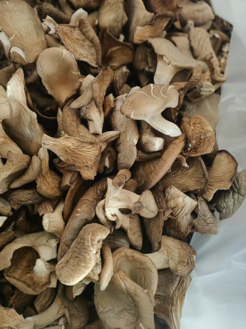 【精选】干平菇蘑菇干，浅灰色包邮，自有工厂，市场食堂等