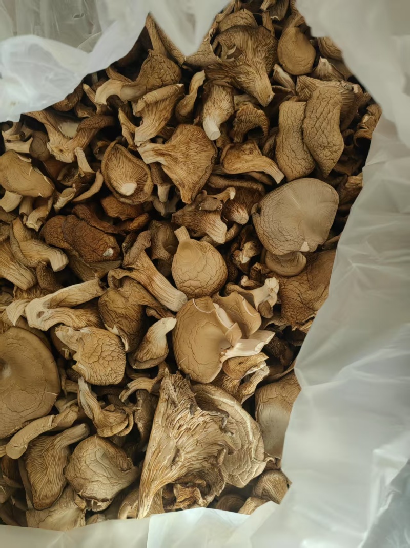 【精选】干平菇蘑菇干，浅灰色包邮，自有工厂，市场食堂等