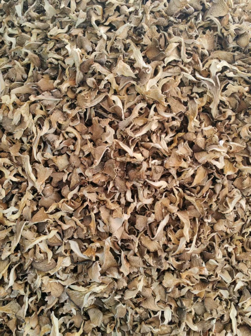 【精选】干平菇蘑菇干，浅灰色包邮，自有工厂，市场食堂等