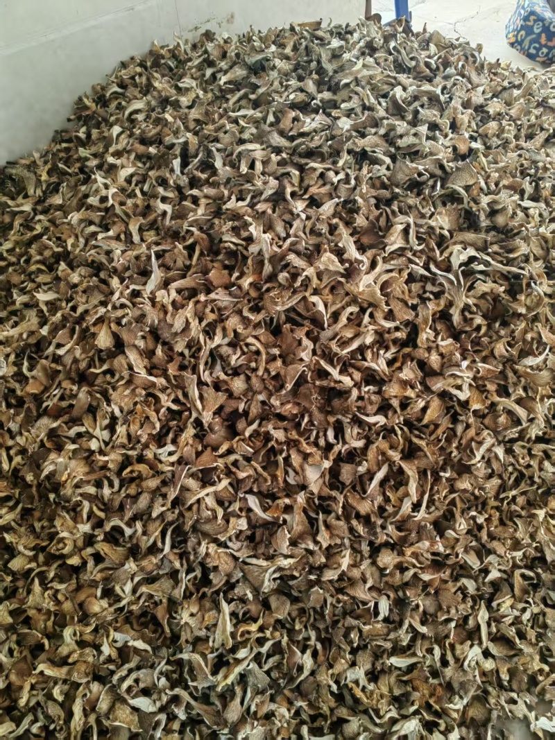 【精选】干平菇蘑菇干，浅灰色包邮，自有工厂，市场食堂等
