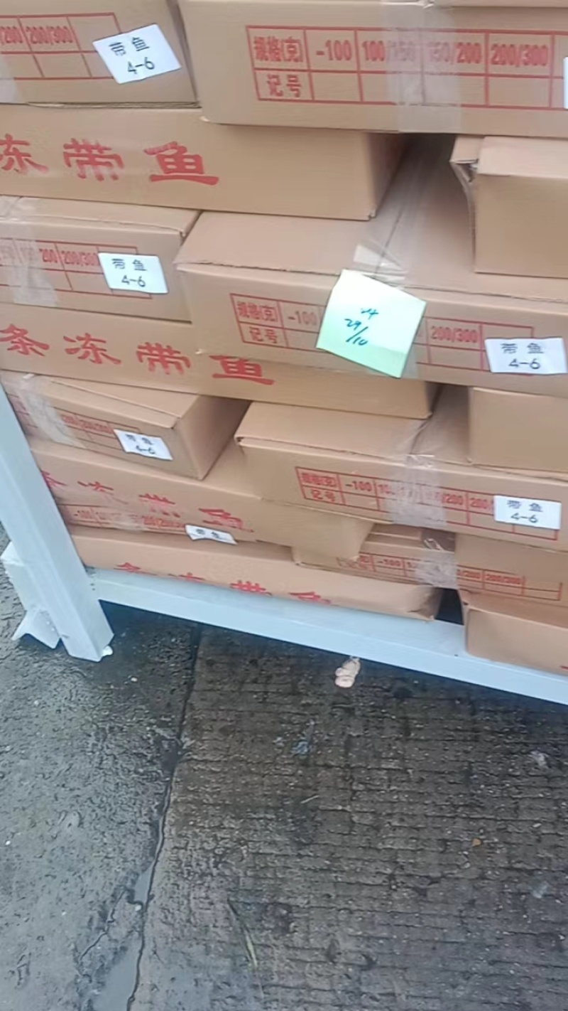 精品东海带鱼工厂码头直发，新鲜日期常年供货