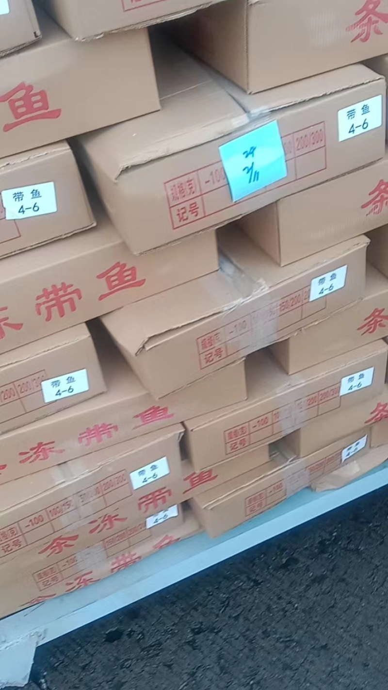 精品东海带鱼工厂码头直发，新鲜日期常年供货