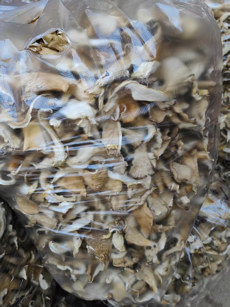 【荐】干香菇鲍鱼菇，产地直发货源，量大优惠，对接全国发货