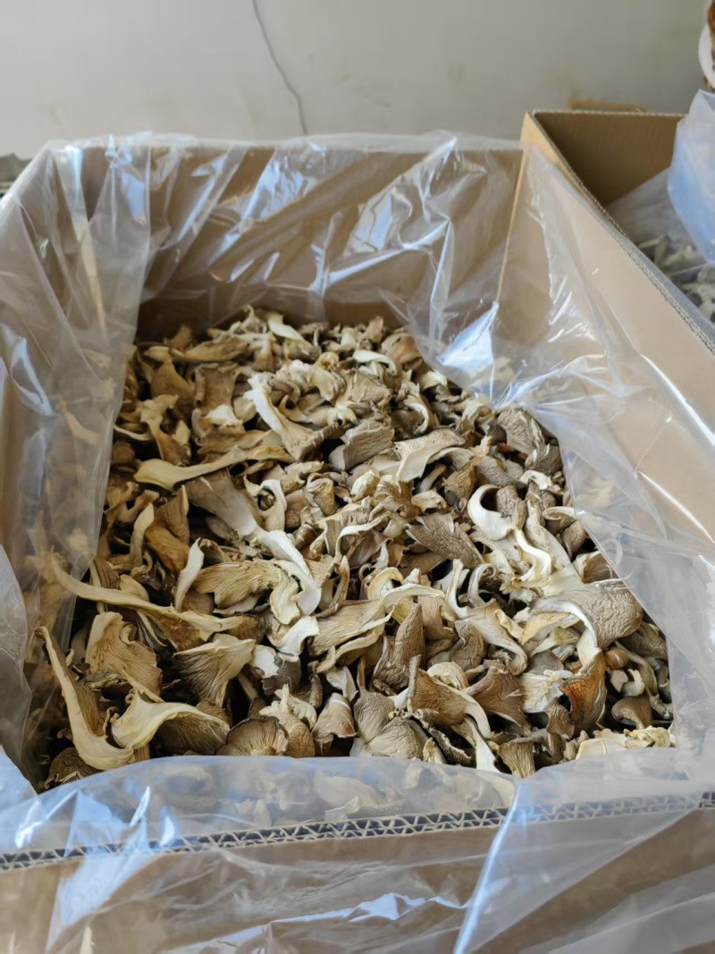 【荐】干香菇鲍鱼菇，产地直发货源，量大优惠，对接全国发货