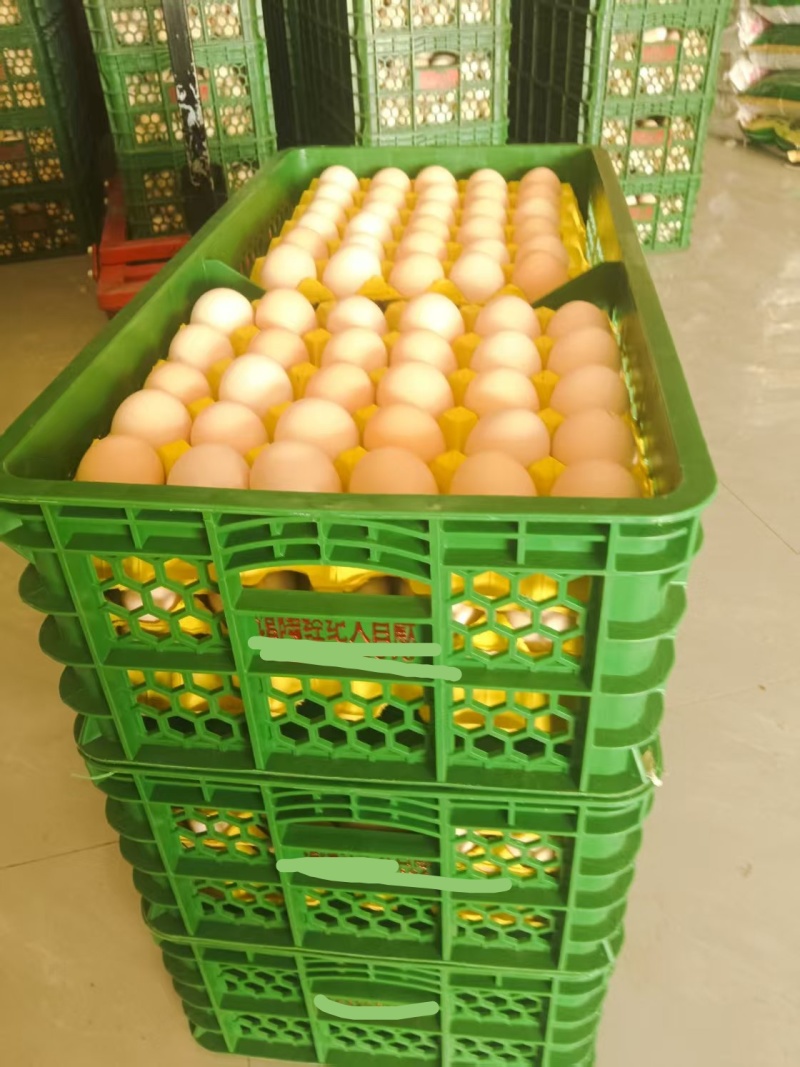 鲜鸡蛋倒筺鸡蛋粉壳品质保证量大从优欢迎联系价格优