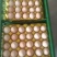 鲜鸡蛋倒筺鸡蛋粉壳品质保证量大从优欢迎联系价格优