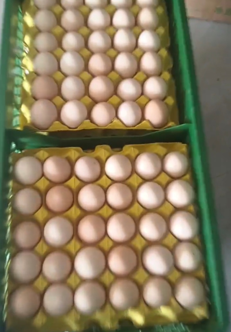 鲜鸡蛋倒筺鸡蛋粉壳品质保证量大从优欢迎联系价格优