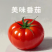 西红柿普罗旺斯西红柿产地直供一手货源量大从优
