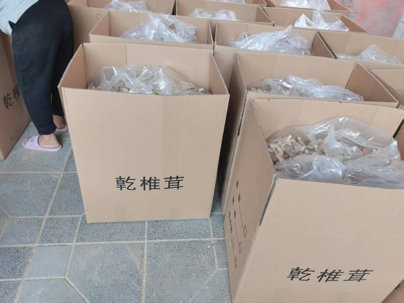 【荐】河北羊肚菌鲜货，产地直发货源包邮，量大优惠对接全国