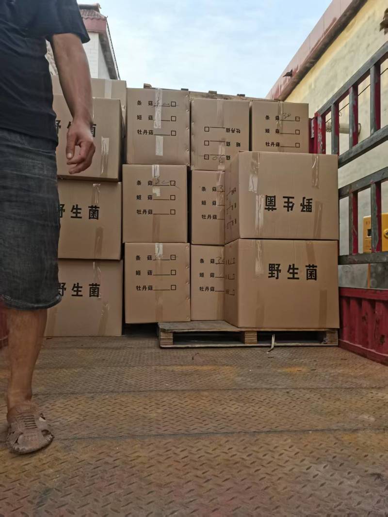【荐】河北羊肚菌鲜货，产地直发货源包邮，量大优惠对接全国