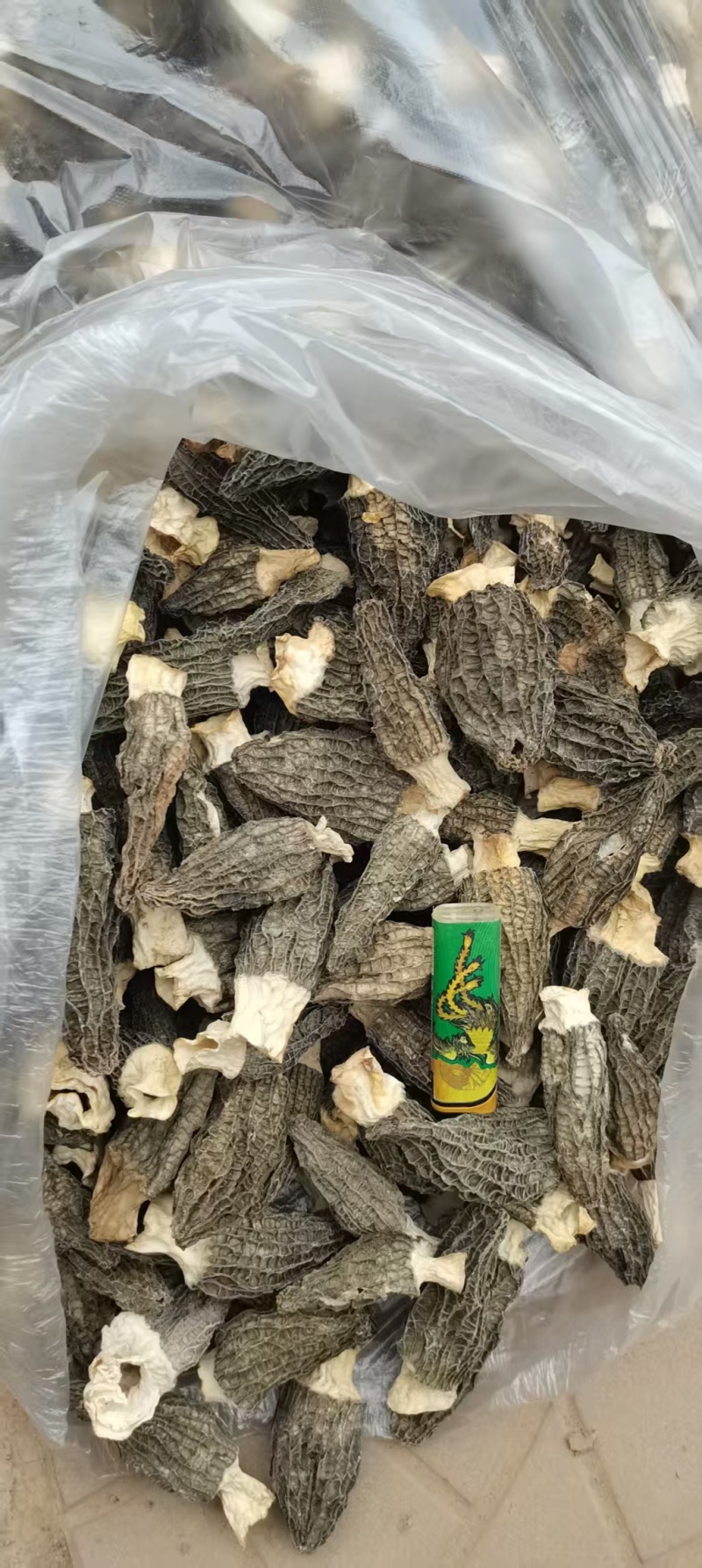 【荐】河北羊肚菌鲜货，产地直发货源包邮，量大优惠对接全国