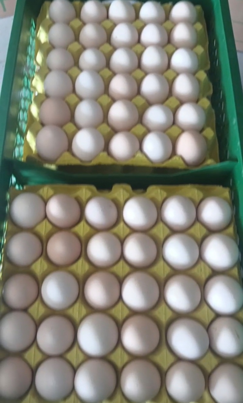 实力推荐精品土鸡蛋粉壳鸡蛋价格实惠品质好量大从优