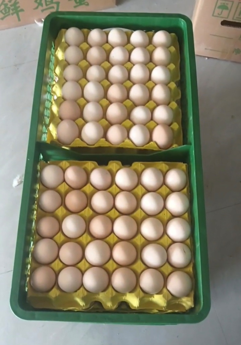 实力推荐精品土鸡蛋粉壳鸡蛋价格实惠品质好量大从优