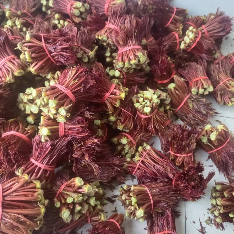 香椿芽四川大竹优质红油香椿香芽现货大量上市了。