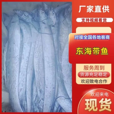 精品东海带鱼工厂码头直发，新鲜日期常年供货