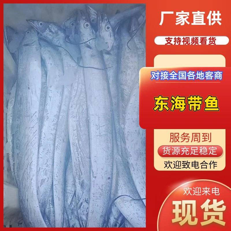 精品东海带鱼工厂码头直发，新鲜日期常年供货