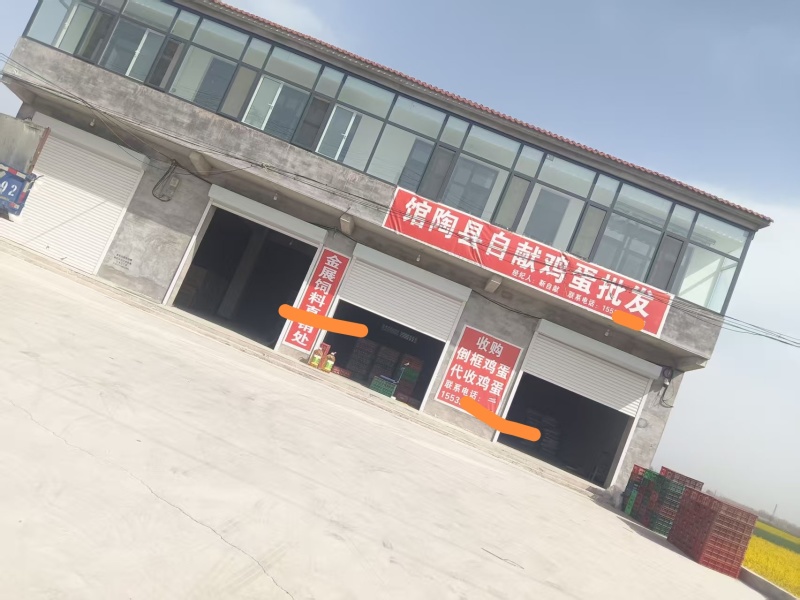 馆陶新鲜粉壳鸡蛋量大从优，自家养殖，一手货源