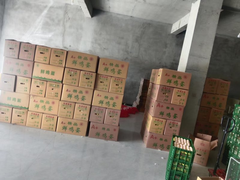 鲜鸡蛋土鸡蛋货源充足价格实惠欢迎自家养殖批发