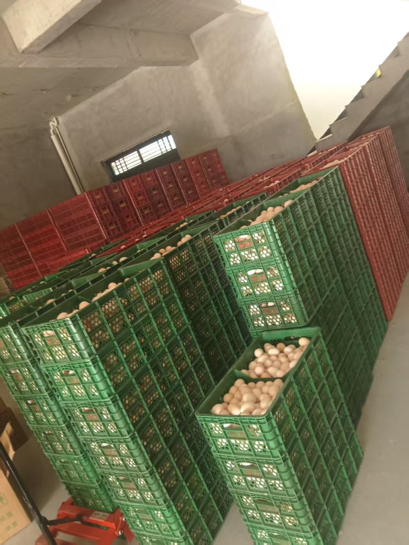 鲜鸡蛋土鸡蛋货源充足价格实惠欢迎自家养殖批发