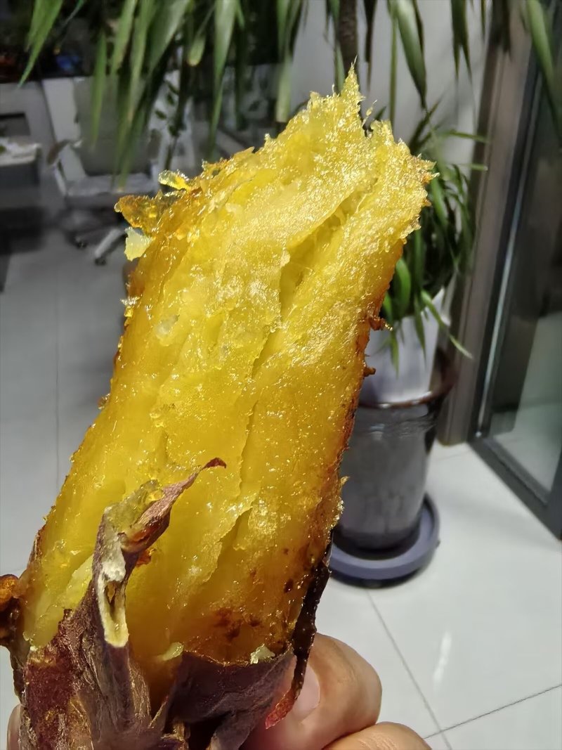 脱毒红薯苗：红瑶，榴！基地直发，保证品质！欢迎咨询订购！