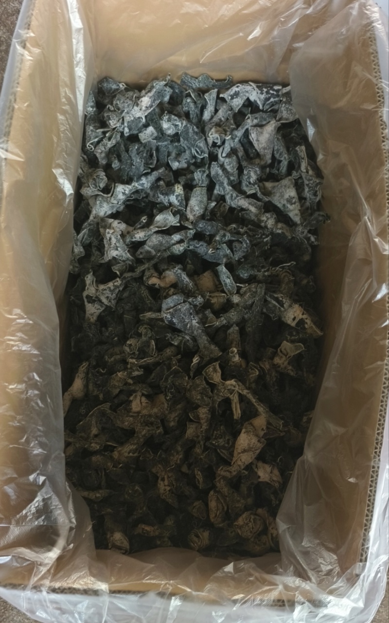 海带丝，海带结基地直发按需包装对接电商市场社区团购
