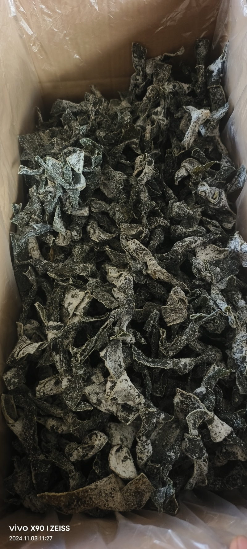海带丝，海带结基地直发按需包装对接电商市场社区团购