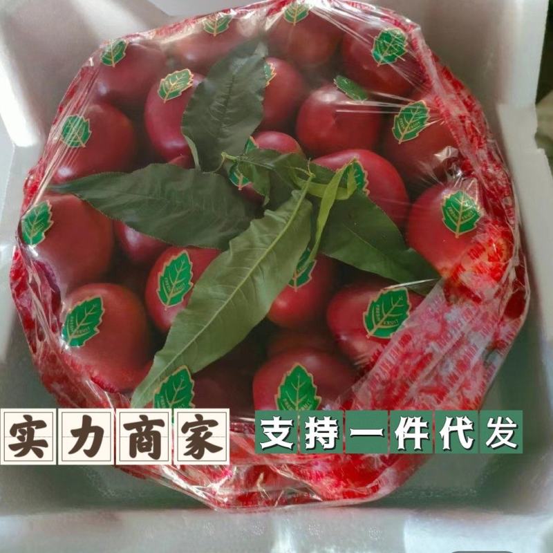 山东精品油桃中油四号油桃黄油桃电商货市场货